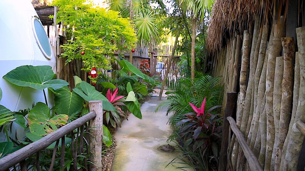 Glamping Tulum With Private Mini Pool Hotel Luaran gambar