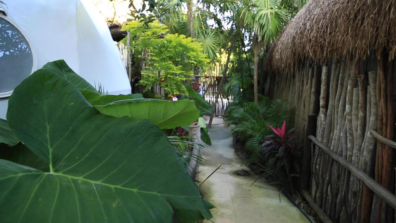 Glamping Tulum With Private Mini Pool Hotel Luaran gambar